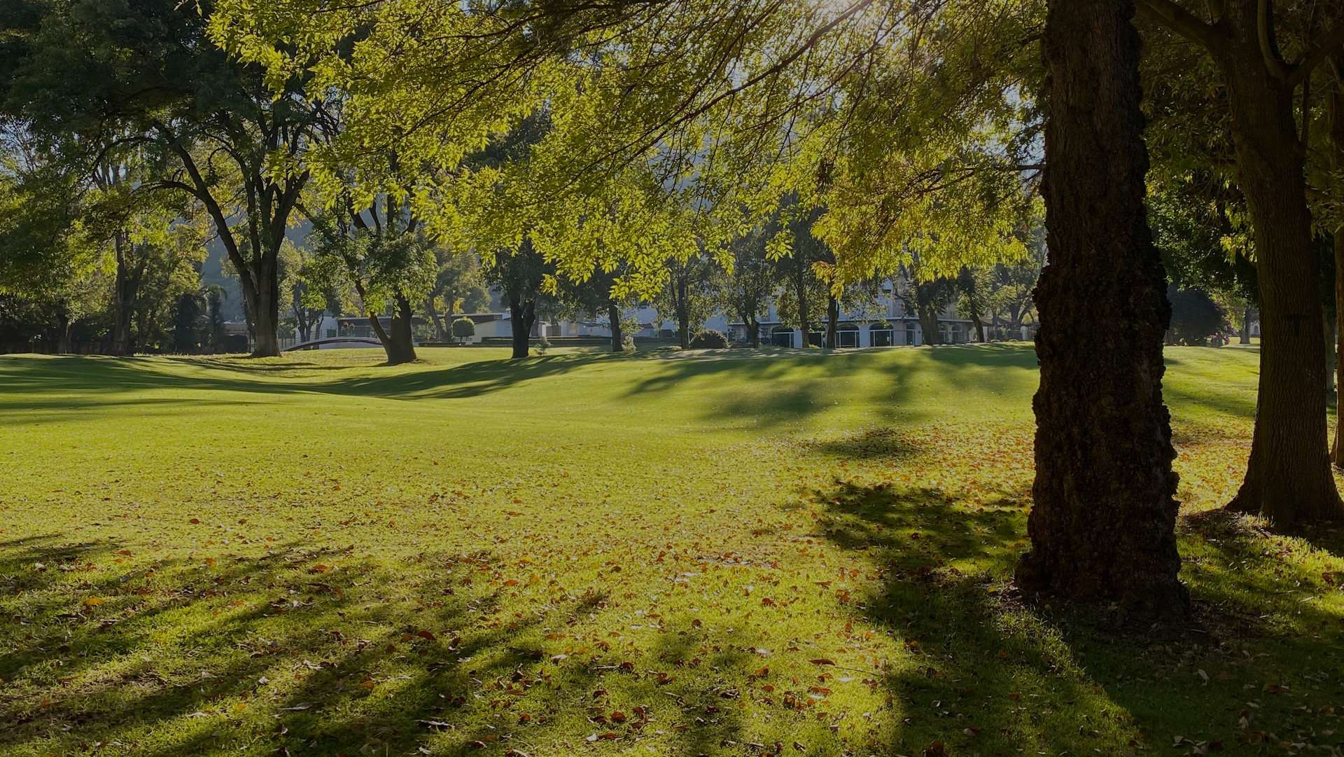 Club Campestre Morelia